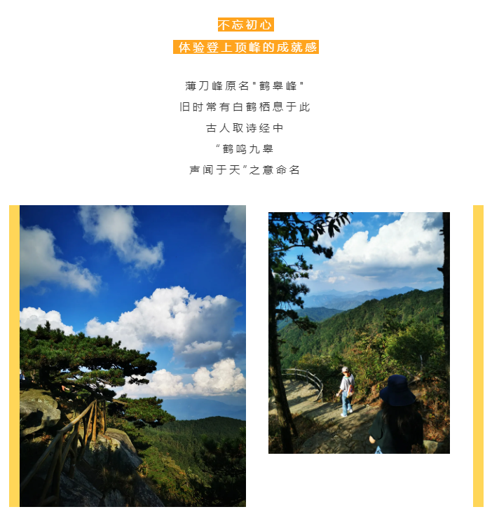秋天了，來一場成年人的秋游吧(圖2)