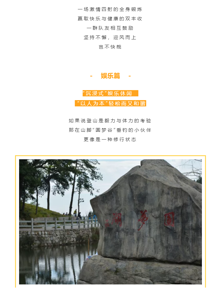 秋天了，來一場成年人的秋游吧(圖4)
