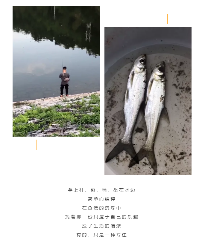 秋天了，來一場成年人的秋游吧(圖5)